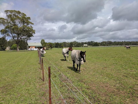 Madigan Wine Country Cottages - Sunshine Coast Tourism 9