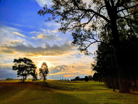 Madigan Wine Country Cottages - Sunshine Coast Tourism 11