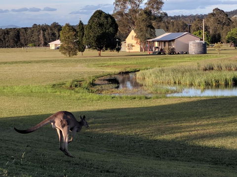 Madigan Wine Country Cottages - Sunshine Coast Tourism 6