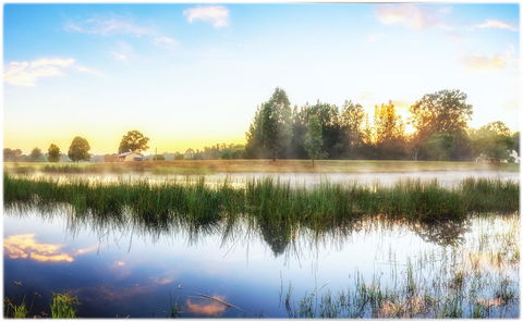 Madigan Wine Country Cottages - Sunshine Coast Tourism 19