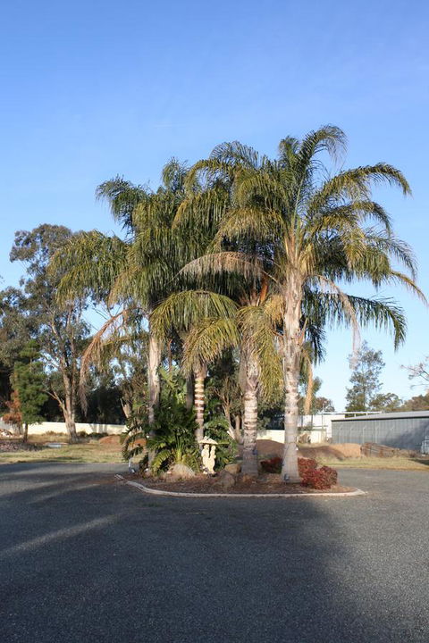 Temora Motel - Sunshine Coast Tourism 6