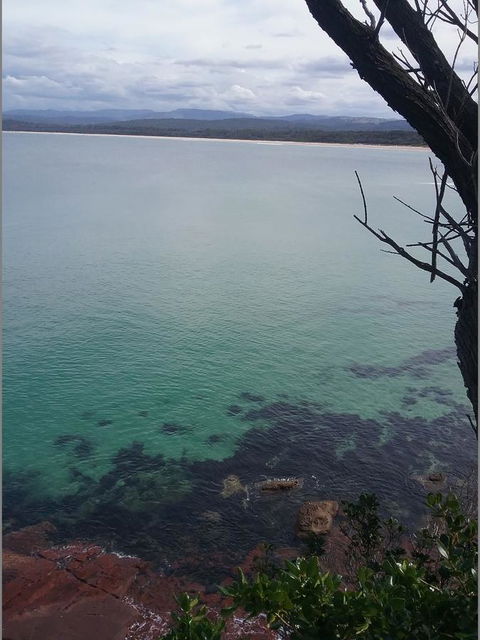 Beaches Apartments Merimbula - Sunshine Coast Tourism 15