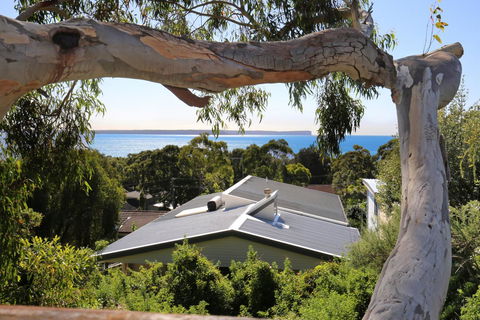 Seaglass - Stunning Views Of Jervis Bay - Sunshine Coast Tourism 26