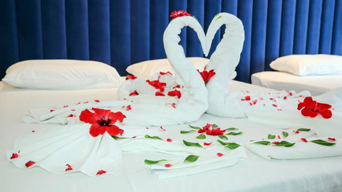 Luxury Home Hotel Next To Darling Harbour - Sunshine Coast Tourism 16