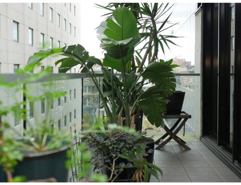 Urban Loft Close To Sydney Hot Spots - Sunshine Coast Tourism 11