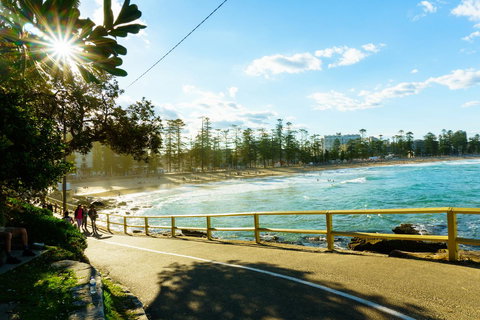Lotus Stay Manly - Apartment 29B - Holiday Sunshine Coast 7