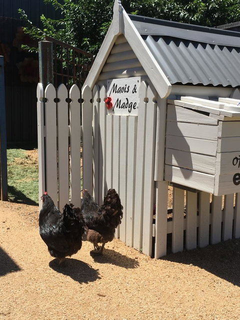 Thelma's Temora - Sunshine Coast Tourism 12