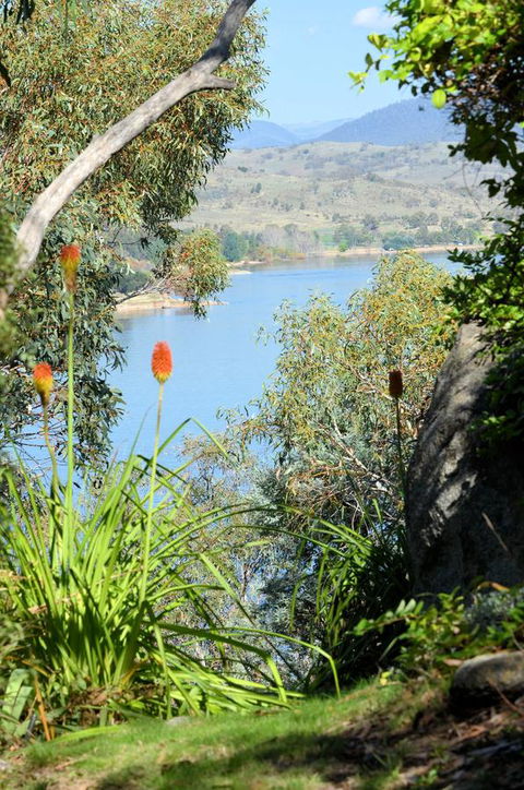 The Point - Exceptional - Sunshine Coast Tourism 4