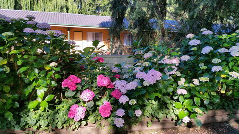 Moruya Motel - Sunshine Coast Tourism 28