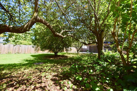 Wildlife Lodge Katoomba - Sunshine Coast Tourism 26