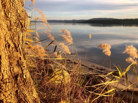 Lakeview Cottage - Sunshine Coast Tourism 14