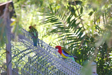 Marty's @ Little Beach - Holiday Sunshine Coast 27