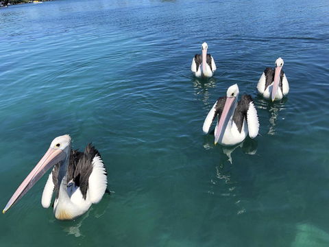 Aquarius 9 - Sunshine Coast Tourism 4