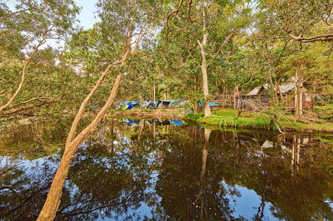 Arts Factory By Nomads - Sunshine Coast Tourism 12