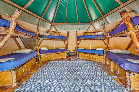 Arts Factory By Nomads - Sunshine Coast Tourism 4