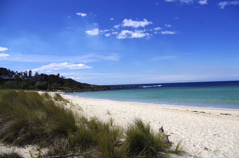 Jackson Ranch By Bannisters - Sunshine Coast Tourism 32