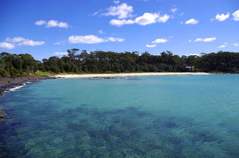 Jackson Ranch By Bannisters - Sunshine Coast Tourism 28