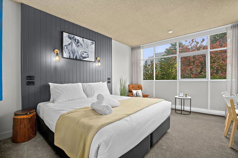 City Centre Motel Armidale - Holiday Sunshine Coast 8