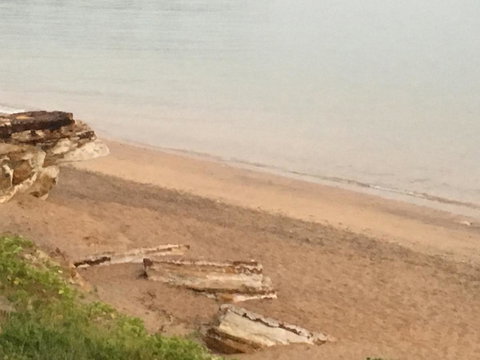 Nightcliff Foreshore Getaway - McKay Gardens - Holiday Sunshine Coast 28