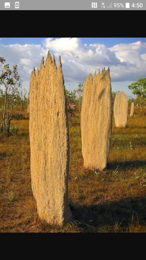 'Tropical Oasis - Darwin NT - Holiday Sunshine Coast 33