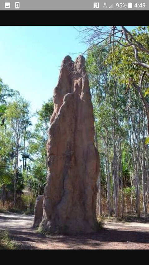 'Tropical Oasis - Darwin NT - Holiday Sunshine Coast 31