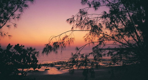 Darwin Beach Escape Holiday Home - Sunshine Coast Tourism 25