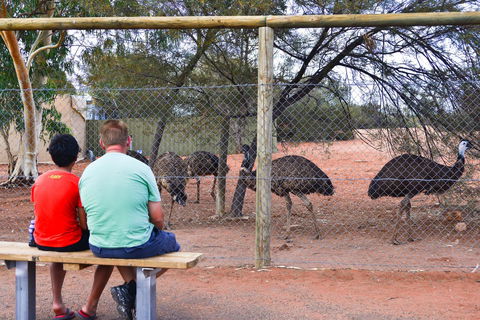 Erldunda Desert Oaks Resort - Sunshine Coast Tourism 21