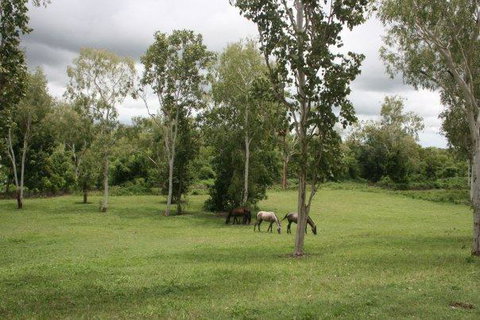 Mount Bundy Station - Sunshine Coast Tourism 25
