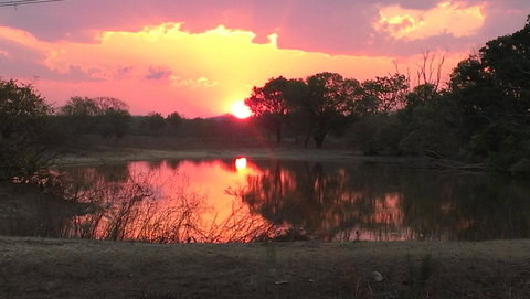 Mount Bundy Station - Sunshine Coast Tourism 20