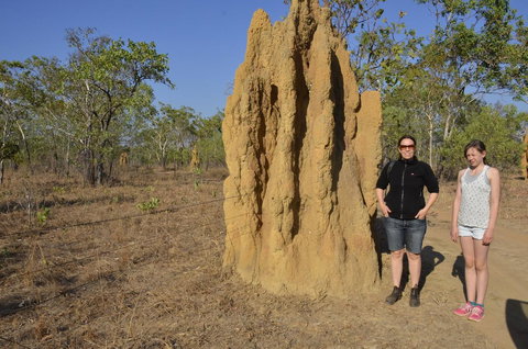 Mount Bundy Station - Sunshine Coast Tourism 44