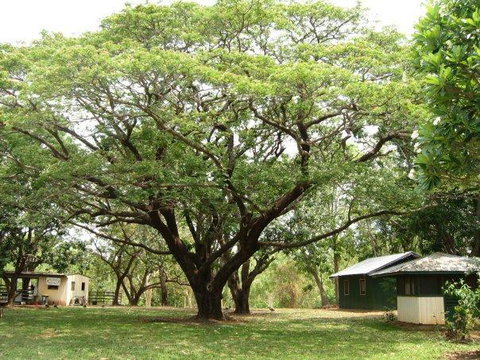 Mount Bundy Station - Sunshine Coast Tourism 26