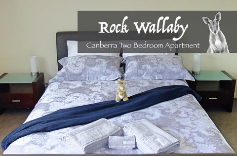 Rock Wallaby - Sunshine Coast Tourism 4