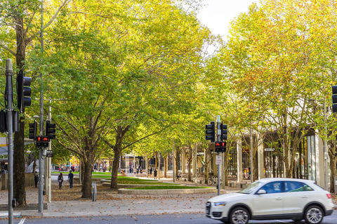 Highgate Executive Apartment City Walk Canberra - Sunshine Coast Tourism 37