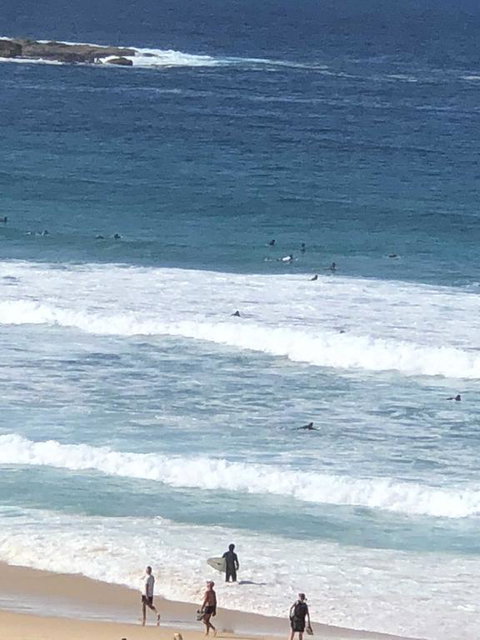 Bondi 38 Serviced Apartments - Sunshine Coast Tourism 2