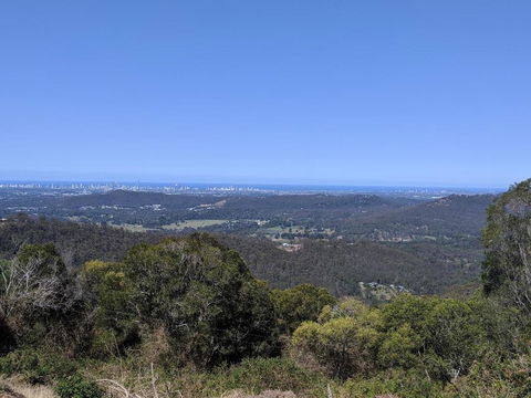 Bottletree Gardens - Mini Manson Blue - Sunshine Coast Tourism 1