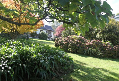 Boyanda At Ferny Creek - Sunshine Coast Tourism 2