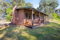 Braeside Cabin Three - Parsonsia