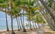 Brindabella - Palm Cove - thumb 3