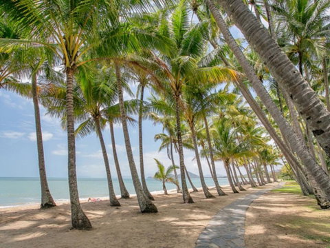 Brindabella - Palm Cove - Sunshine Coast Tourism 3