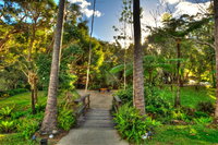 Book Eungella Accommodation Vacations Sunshine Coast Tourism Sunshine Coast Tourism