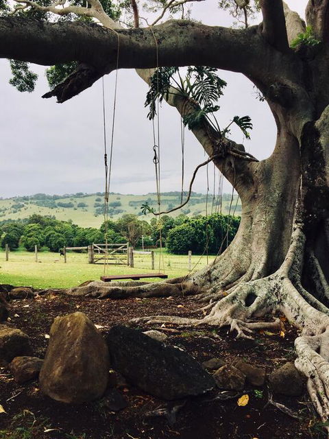 BYRON BAY New! SUNSET COTTAGE - Sunshine Coast Tourism 3