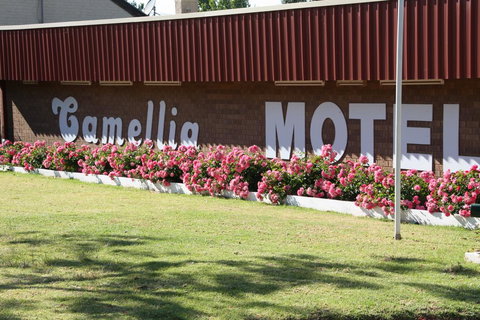 Camellia Motel - Holiday Sunshine Coast 2