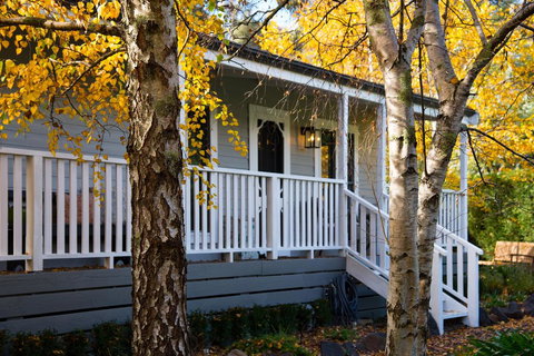 Campari - Sunshine Coast Tourism 0