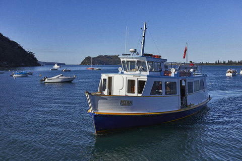 Cape Mackerel Cabin With Magic Palm Beach & Pittwater Views - Sunshine Coast Tourism 2