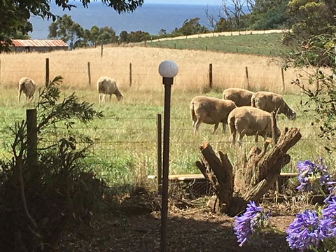 Cape View B And B - Sunshine Coast Tourism 0