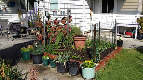 Carisbrook Cottage Queenscliff - Sunshine Coast Tourism 1