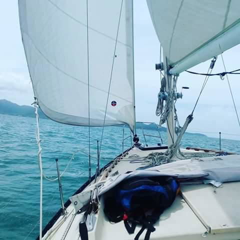 Casual Fare Sailing Charters Townsville - Ocean Living - Cruise - Sunshine Coast Tourism 3