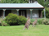 Book Mount Victoria Accommodation Vacations Sunshine Coast Tourism Sunshine Coast Tourism