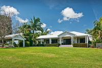 Cedia at Byron Bay Hinterland
