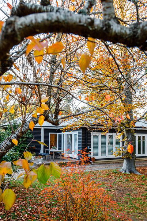 Charming Mountain Cottage - Sunshine Coast Tourism 3